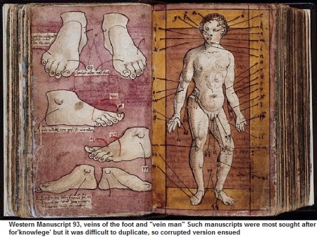 640px-Western_Manuscript_93,_veins_of_the_foot_and_'vein_man'_Wellcome_L0023523
